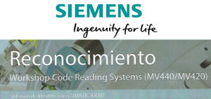 siemnes
